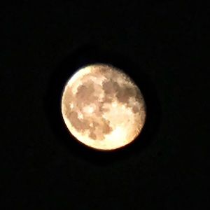 Meet your Posher, Samah